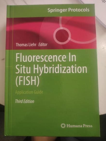 <a href='/2026/0312/c7568a559835/page.htm' target='_blank' title='杨凤堂院长参编英文专著在国际学术出版社Springer出版'>杨凤堂院长参编英文专著在国际学术出版社Springer出版</a>